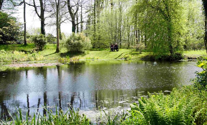 Trees woodland Dew Pond spring people